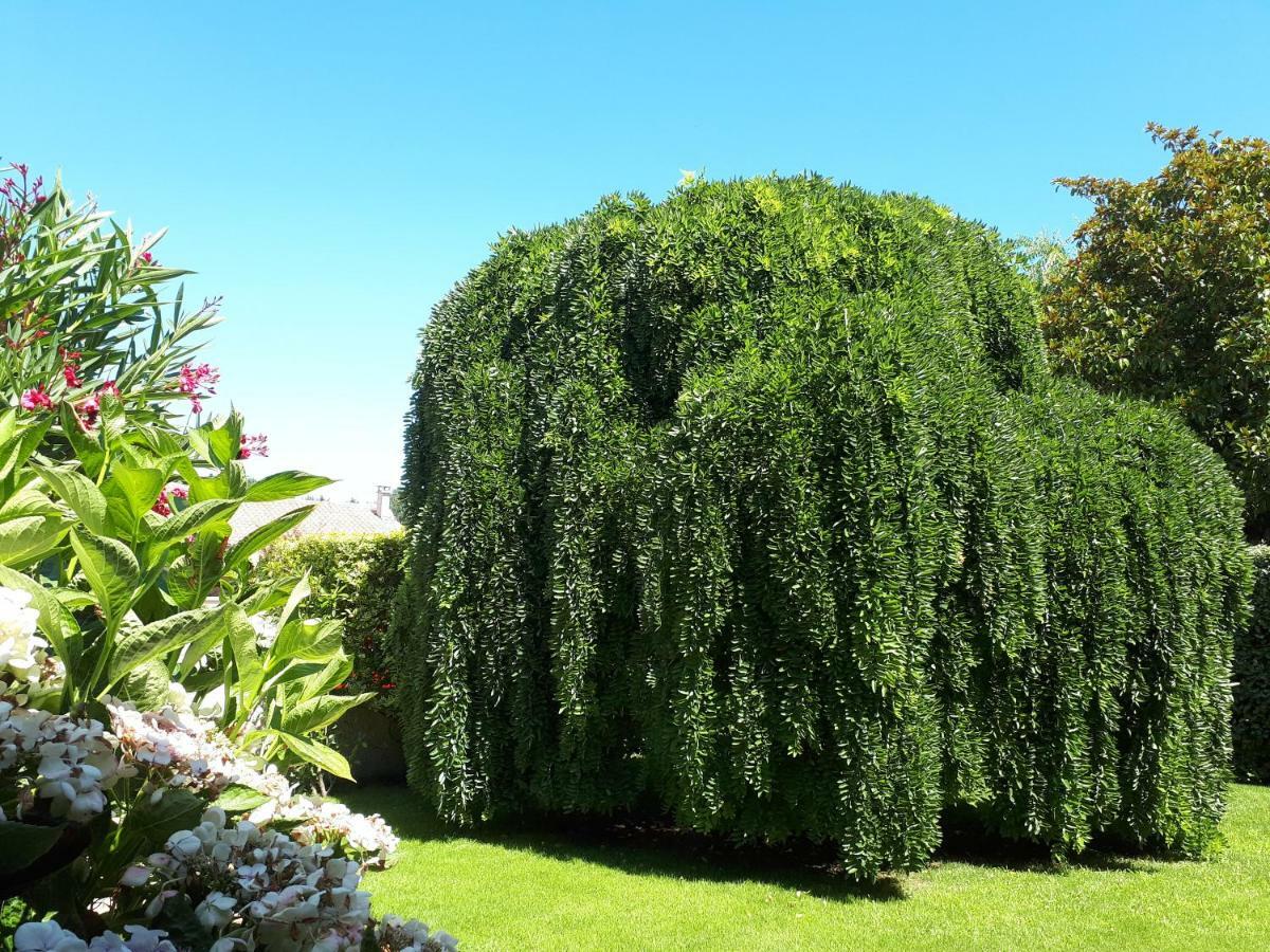 Maison Ruisseau L'Eau Blanche Léognan Kültér fotó